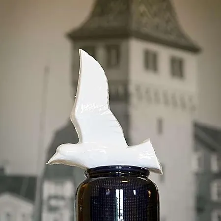 Schoenau Lindau (Bodensee)